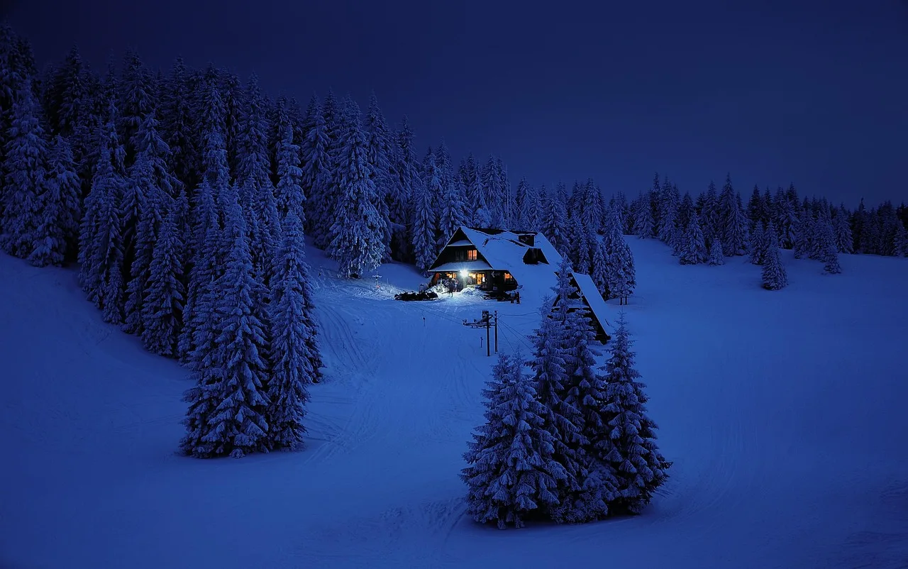 snow, winter, mountains, house, home, night, light, cozy, hope, view, nature, landscape, poland, forest, cottage, shelter, target, snow, snow, winter, winter, winter, winter, winter, house, home, home, night, cozy, hope. How cottage country changes chimney work in Muskoka and the Laurentians