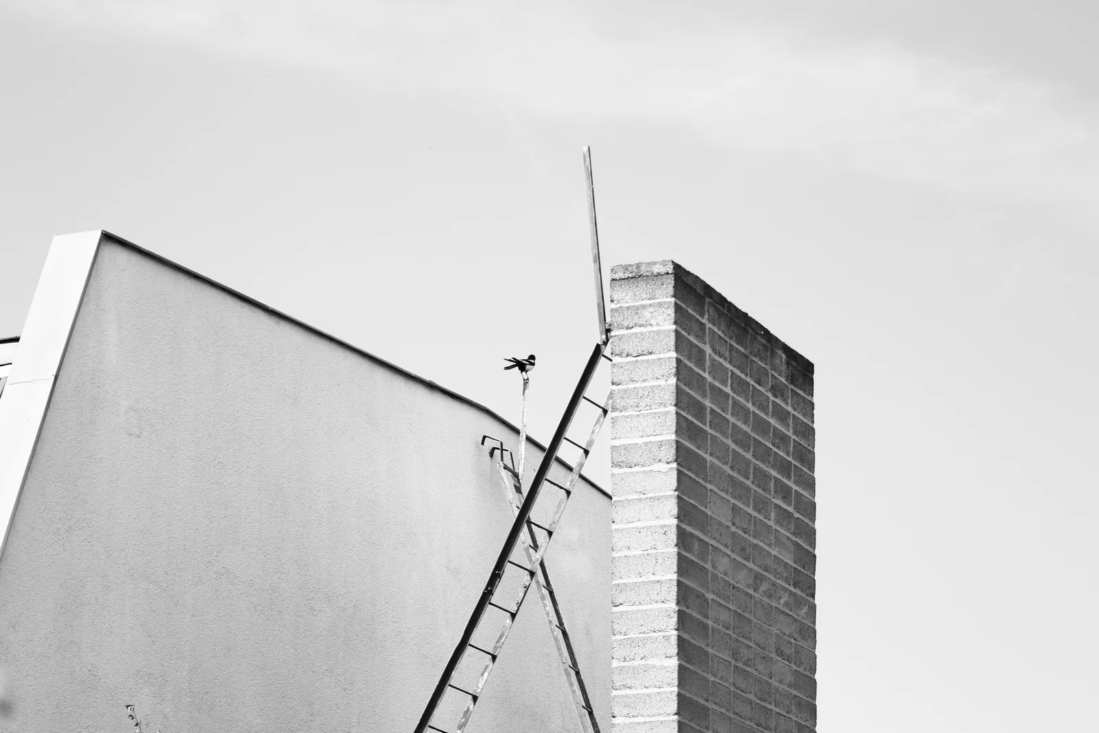 Artistic black and white photo of a building facade with ladder and brick chimney. Chimney sweep operations for owners who want less chaos