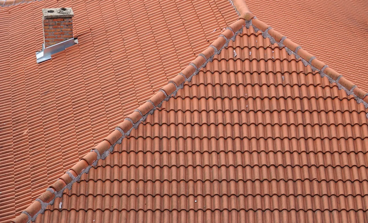 bulgaria, veliko tarnovo, roof, tiles, chimney. Service standards in a chimney sweep business, and how to verify them