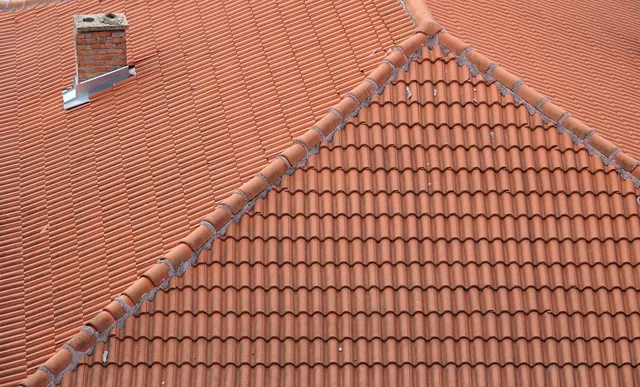 bulgaria, veliko tarnovo, roof, tiles, chimney. Service standards in a chimney sweep business, and how to verify them