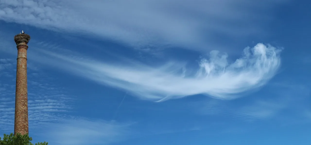 heaven, clouds, chimney, storks, nature, stork nest, blue, cloud shape, industry, factory, factory chimney, bird nest, stork. The referral engine inside a chimney sweep business